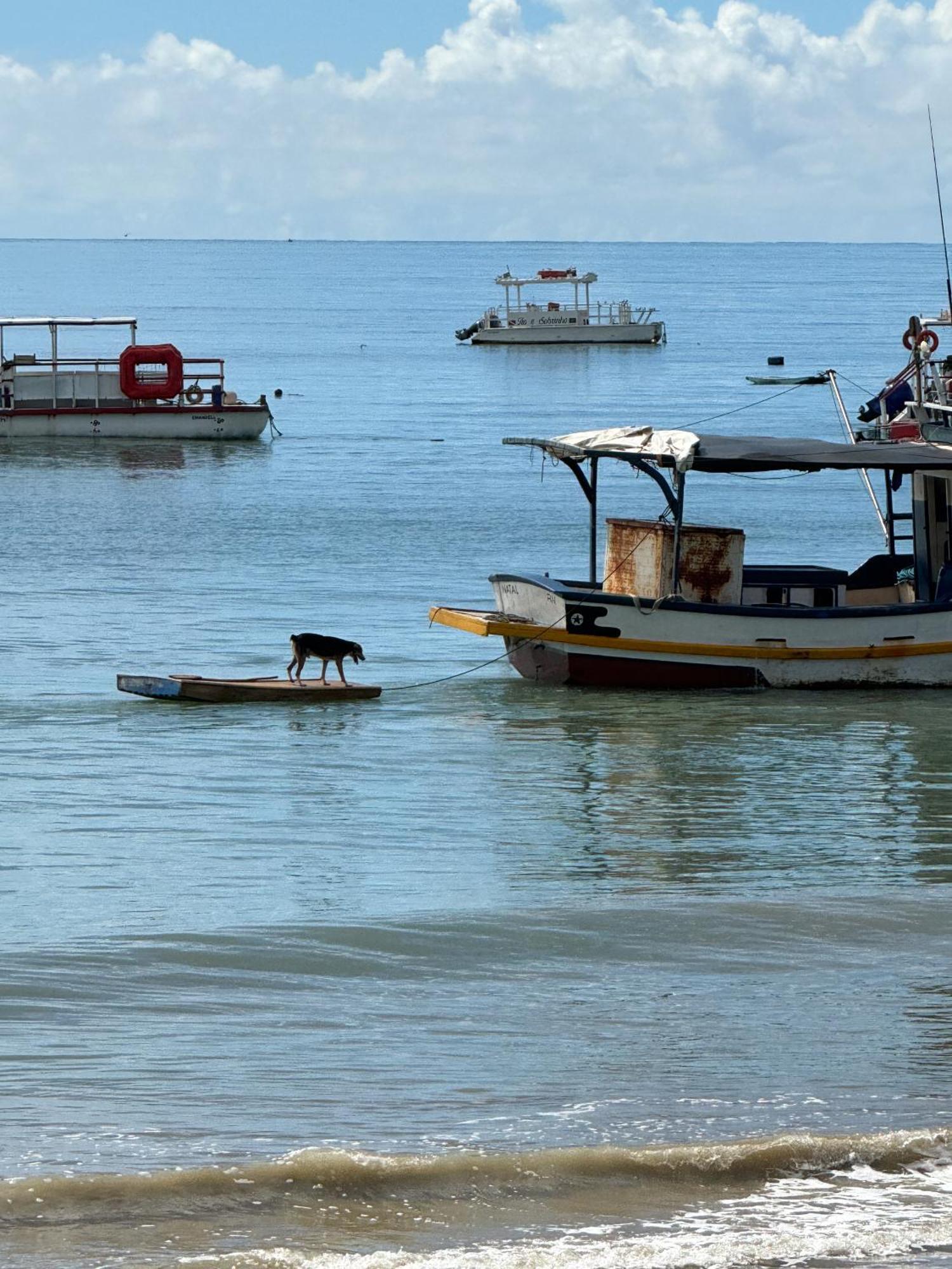 Pousada Corais De Maracajaú Buitenkant foto